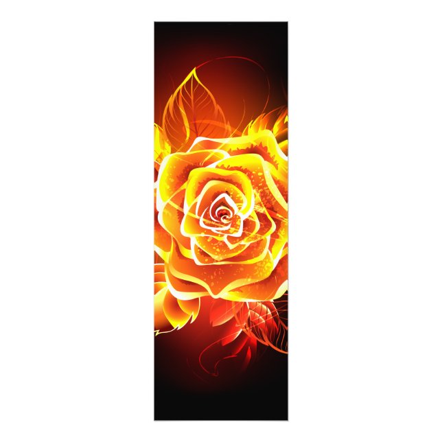 Impression Photo Rose de feu en fleurs (Devant)