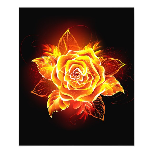 Impression Photo Rose de feu en fleurs (Devant)