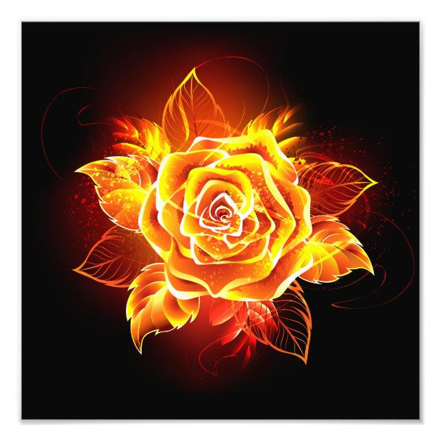 Impression Photo Rose de feu en fleurs (Devant)
