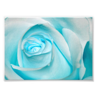 Impression Photo Rose d'Ice