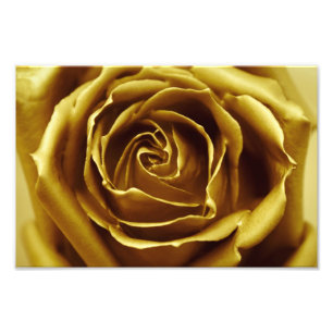 Impression Photo Rose d'or élégant