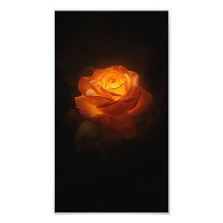 Impression Photo Rose Orange Lumineuse sur Velours Noir – Élégance 