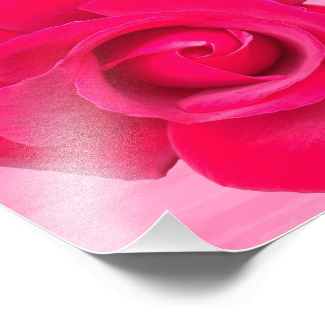 Impression Photo Rose rose romantique rouge (Coin)