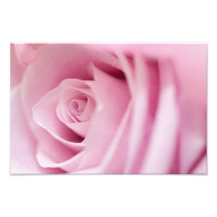 Impression Photo Rose rose rose