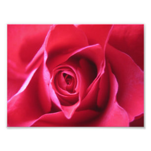 Impression Photo Rose rouge