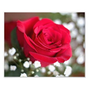 Impression Photo Rose rouge