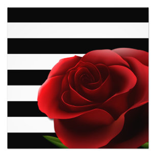 Impression Photo Rose rouge et Blancs noirs