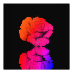 Impression Photo Rose rouge rustique Floral Fleur d'eau Drop Art