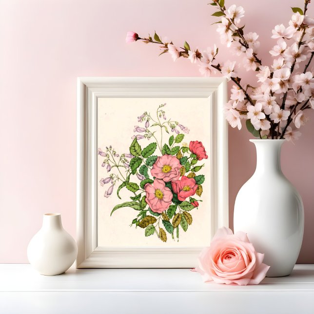 Impression Photo Rose sauvage précoce, Langue de la barbe du Pentst (Créateur téléchargé)