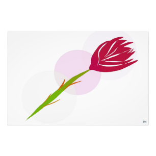 IMPRESSION PHOTO ROSE SOLITAIRE