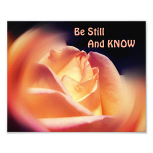Impression Photo Rose Soyez Toujours Et Connaissez Citation Inspira