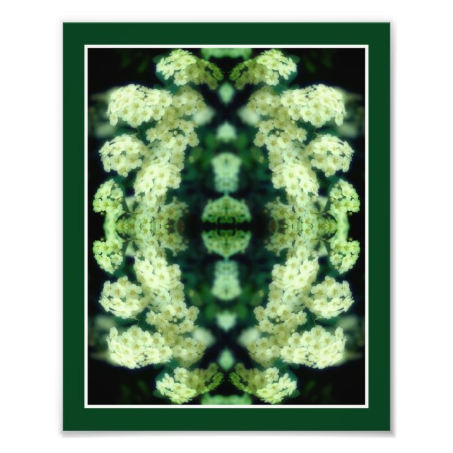 Impression Photo Roses blanches vierges miroirs miroirs Abstraits 8 (Devant)