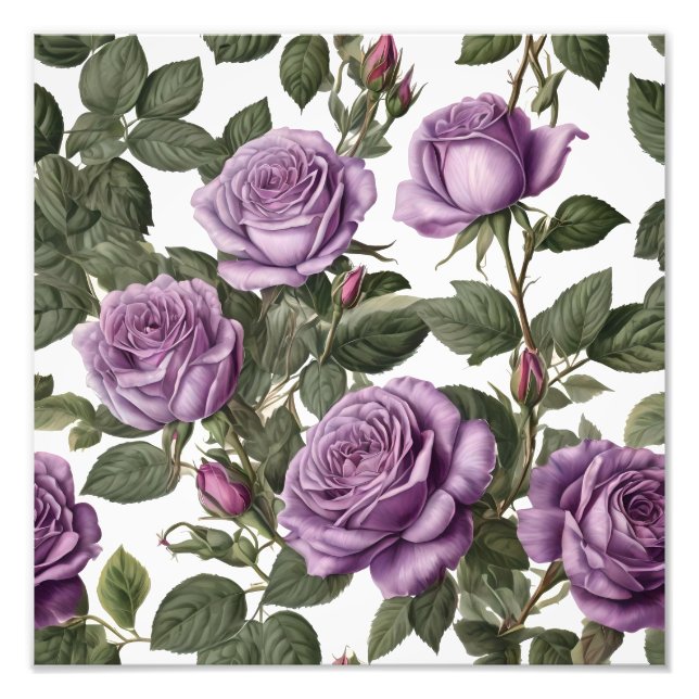 Impression Photo Roses de Rose pourpre, (Devant)