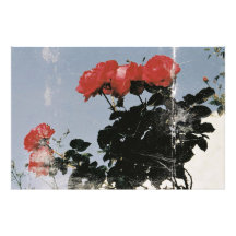 Roses rouges vintage sur un ciel bleu