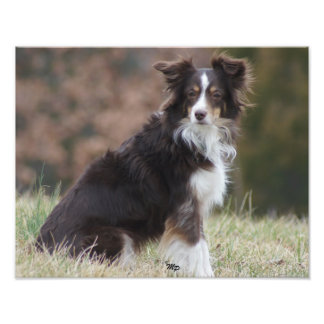 Impression Photo Rosie 1