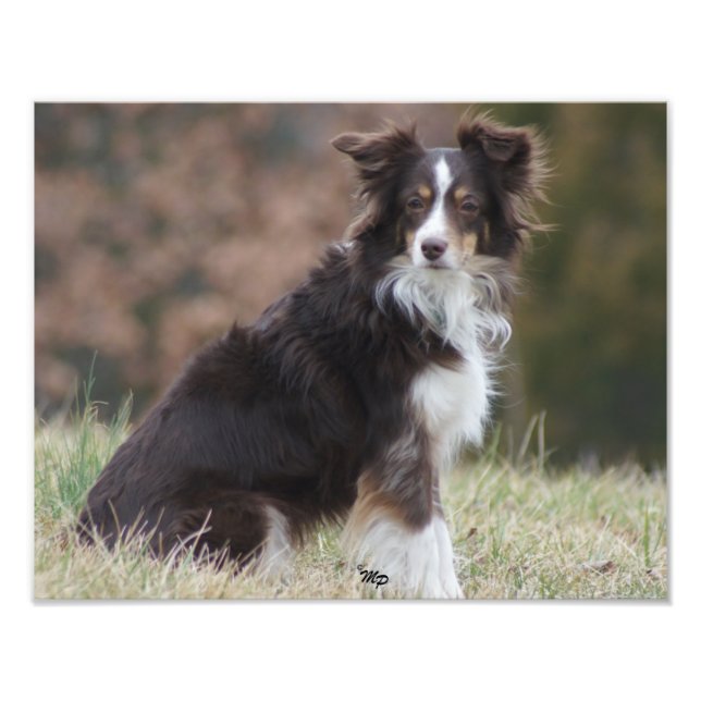 Impression Photo Rosie 1 (Devant)