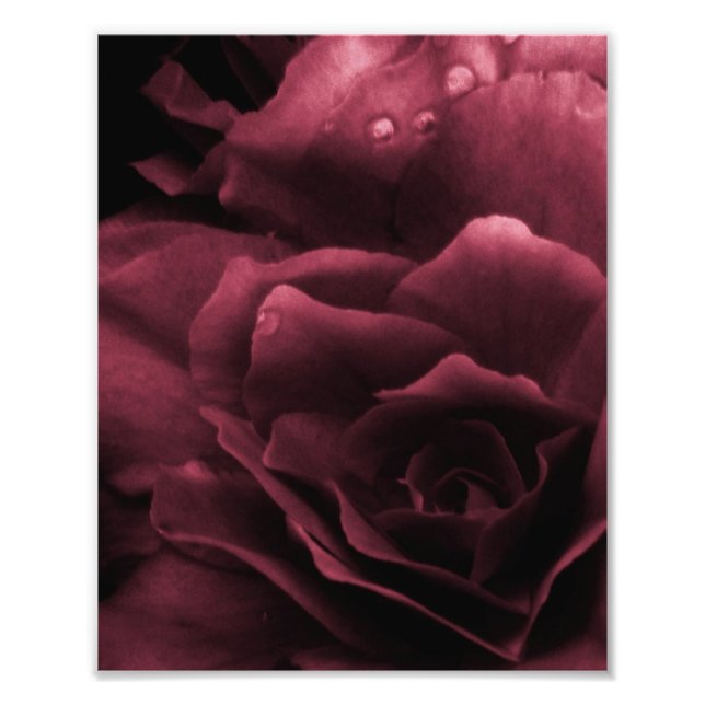 Impression Photo Rouge de prune près d'une Bégonie double (Devant)