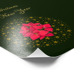 Impression Photo Rouge Poinsettia Plante sur parties scintillant ét