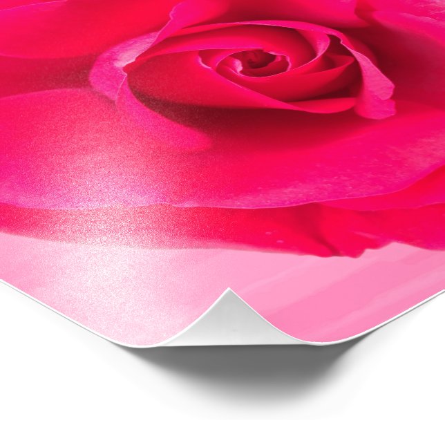 Impression Photo Rouge romantique Rose rose v2 (Coin)