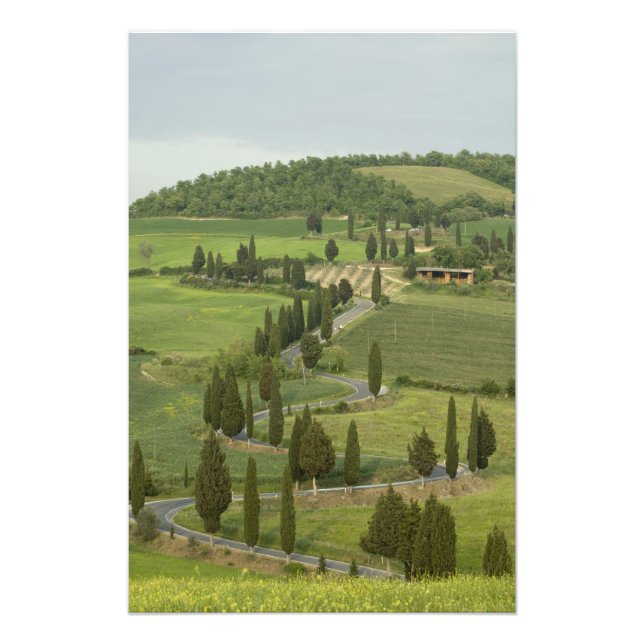 Impression Photo Route de Pienza à Montepulciano, (Devant)