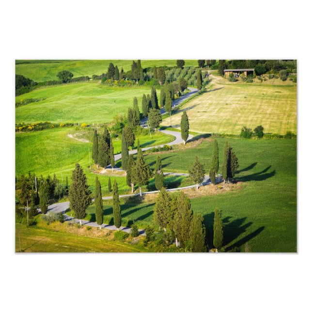 Impression Photo Route sinueuse bordée de Cypress en Toscane imprim (Devant)