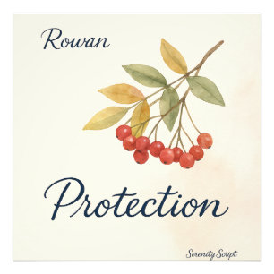 Impression Photo Rowan — Protection Collection Serenity Script