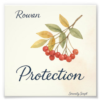 Impression Photo Rowan — Protection | Serenity Script Collection