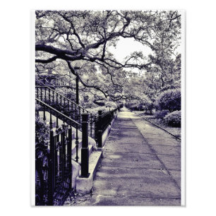 Impression Photo Rue de Gaston
