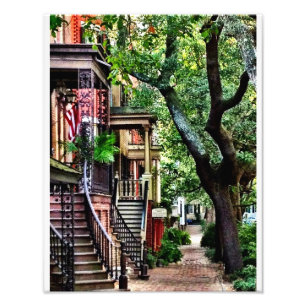 Impression Photo Rue de Jones, la savane