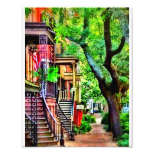 Impression Photo Rue de Jones, la savane (EFFET d'HUILE)