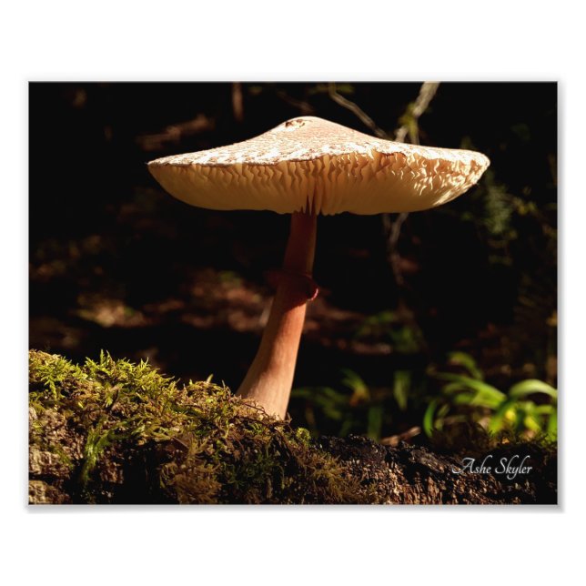 Impression Photo Ruffles (Devant)