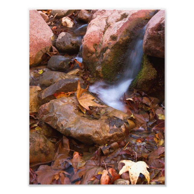 Impression Photo Ruisseau à Payson, Arizona (Devant)