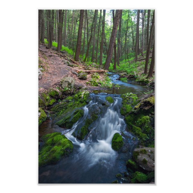 Impression Photo Ruisseau le long du sentier  (Devant)