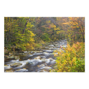 Impression Photo Ruisseau Rugissant en automne dans le Green Vermon