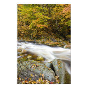 Impression Photo Ruisseau Rugissant en automne dans les Montagnes V