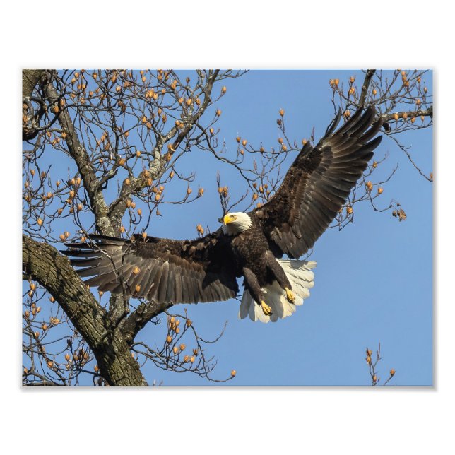 Impression Photo Sa Grande Entrée (Devant)