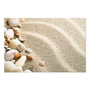Impression Photo Sable Avec Coquilles Et Pierres. Composition de pl