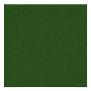 IMPRESSION PHOTO SABLE ET PLAGE SOLIDE FOREST SOMBRE ARRIÈRE - PLA