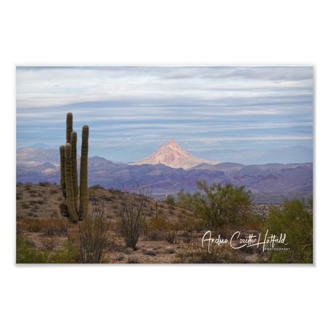 Impression Photo Saguaro (Devant)