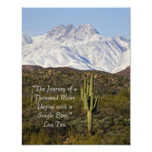 Impression Photo Saguaro Cactus Montagnes enneigées Arizona USA