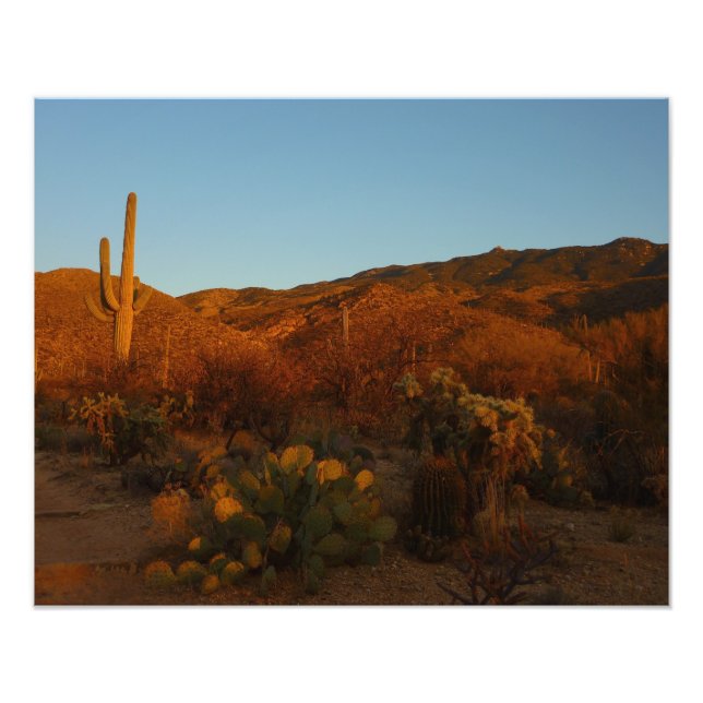 Impression Photo Saguaro Sunset I Arizona Désert Paysage (Devant)