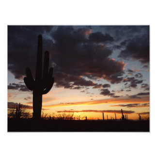 Impression Photo Saguaro Sunset III Arizona Desert Paysage