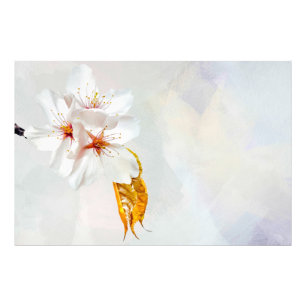 Impression Photo Sakura - Fleur de cerisier japonaise