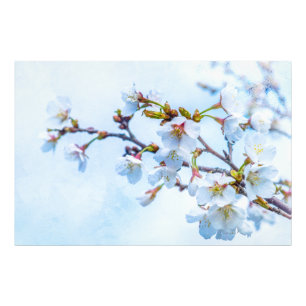 Impression Photo Sakura - Fleur de cerisier japonaise