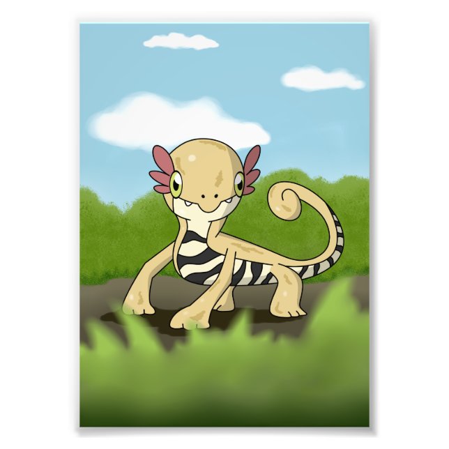 Impression Photo Salamandra (Devant)