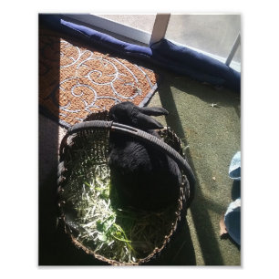 IMPRESSION PHOTO SAMMMY IER