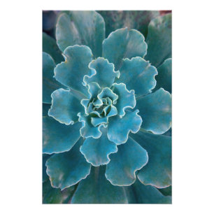 Impression Photo San Francisco California Golden Gate Park et
