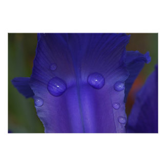 Impression Photo Sapphire Serenity 