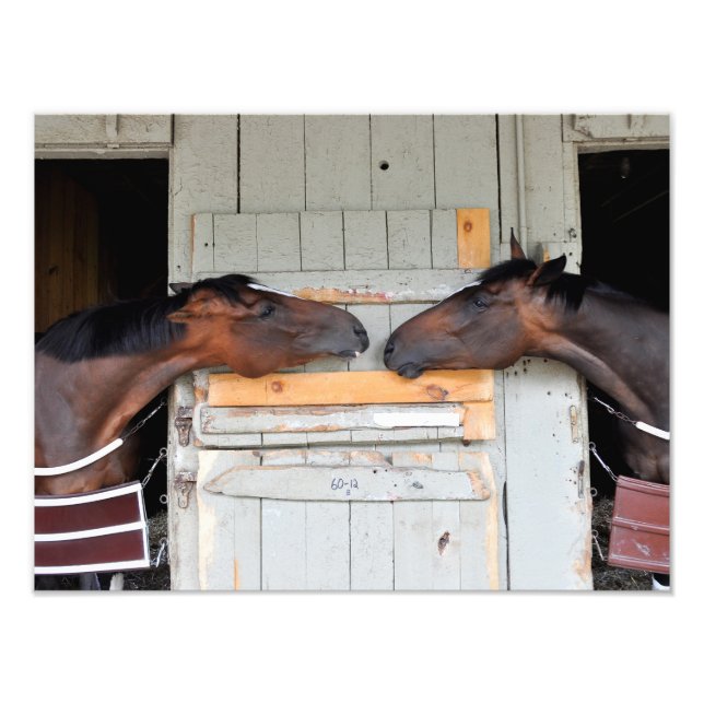 Impression Photo Saratoga Love (Devant)