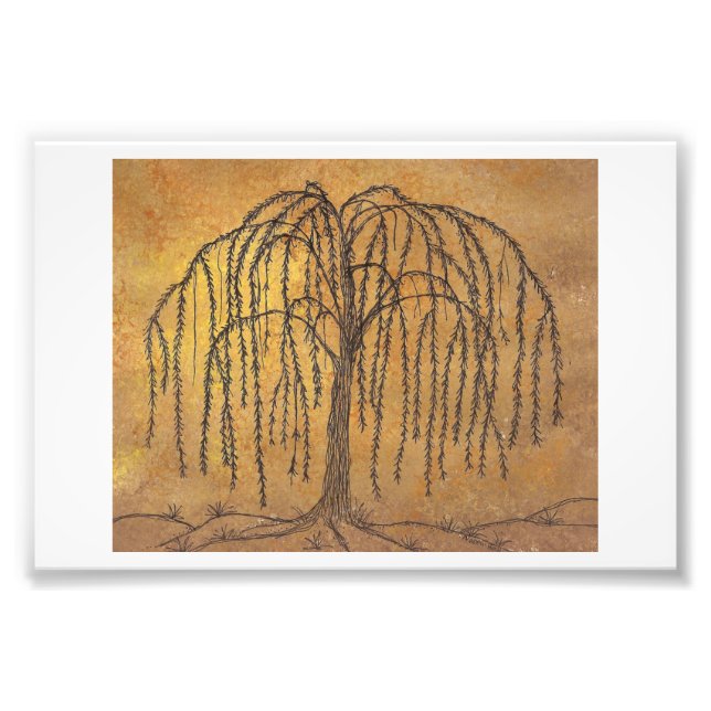 Impression Photo Saule (Devant)